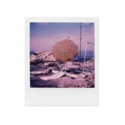 Polaroid 600 :: Color Film -Modern Camera Shop Polaroid 600 Color Tamara Saade 06