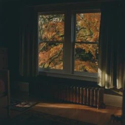 Unique Kodak Portra 800 :: Color -Modern Camera Shop Portra 800 120 Shanna Hutchins 05