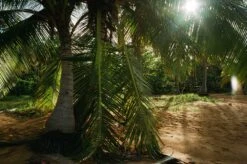 Unique Kodak Portra 800 :: Color -Modern Camera Shop Portra 800 35mm Shanna Hutchins 04