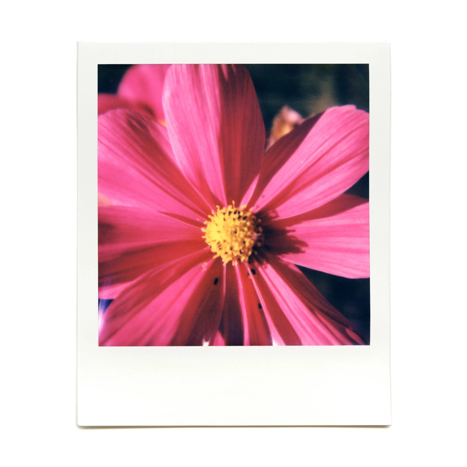 Macro Lens Set 20 Macro Lens Set - Image 18