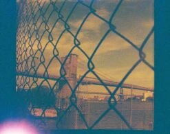 Lomography Lobster :: Color -Modern Camera Shop julien piscioneri birgit buchart Lobster 110 9